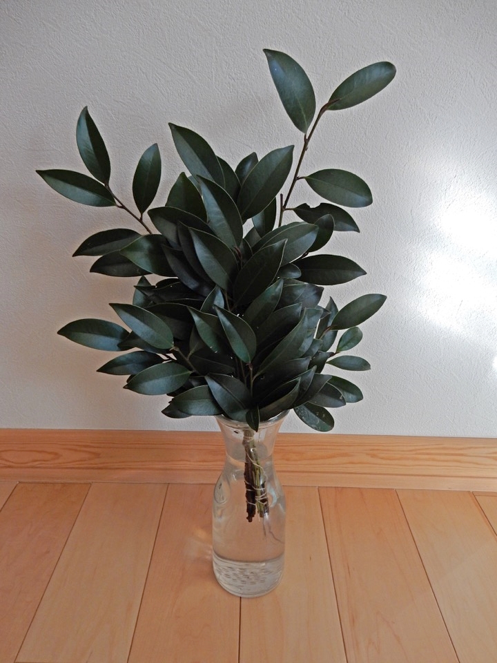 神棚のお供えの取り換えや掃除を解説。例として前処理後の榊を示します。